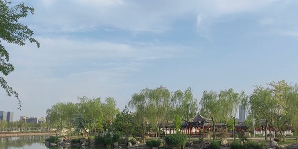 金凤区阅海湾水上公园湖景与城市天际线