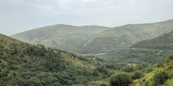 海原县南华山国家级自然保护区草甸景观