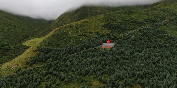 班玛原始森林景观