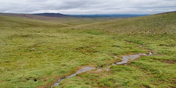 达日黄河源湿地景观
