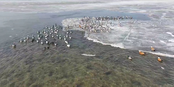 玛多扎陵湖风光