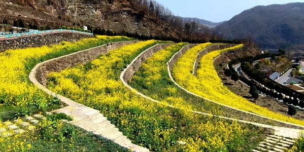 白河天宝梯田航拍全景图