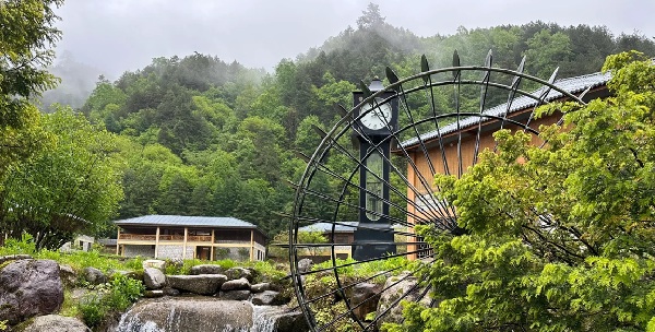 宁陕上坝河森林公园云海与原始森林景观