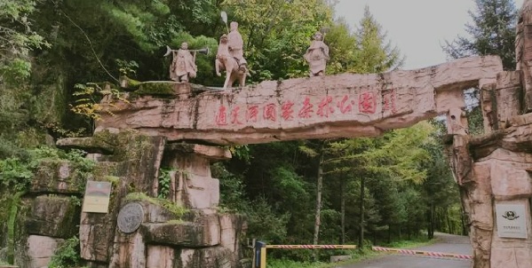 通天河森林公园云海景观