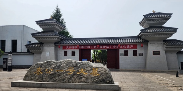 秦公一号大墓车马坑遗址全景