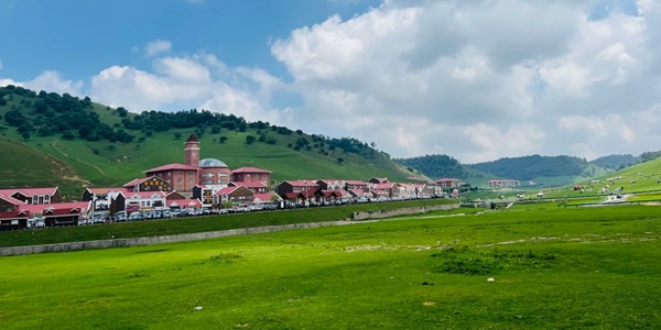 关山草原夏季绿草如茵与牛羊群