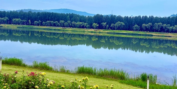 千湖湿地碧水蓝天与成群飞鸟