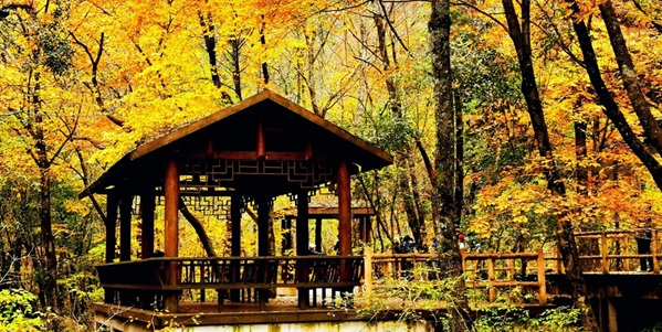 南郑区黎坪国家森林公园秋色全景