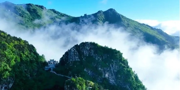 柞水牛背梁高山草甸与云海相映的壮丽景观