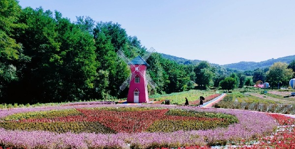 宜君县花溪谷梯田花海全景