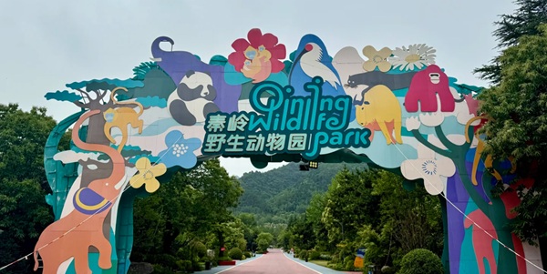 翠华山天池全景与山崩堆积景观