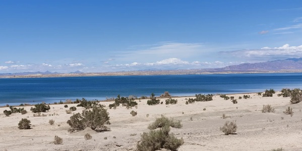 神木红碱淖湖光山色与沙漠交融的壮丽景观