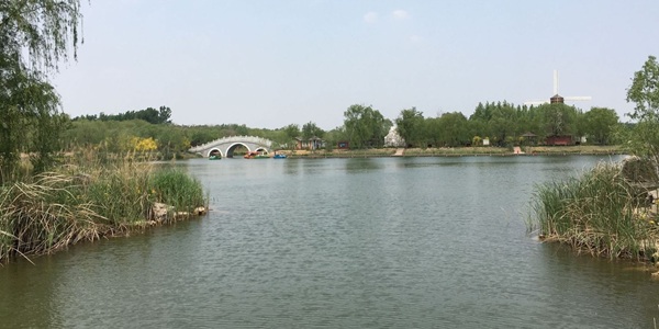 东营市东营区龙居黄河森林旅游区