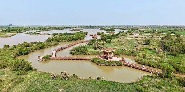 东营市垦利区黄河口生态旅游区