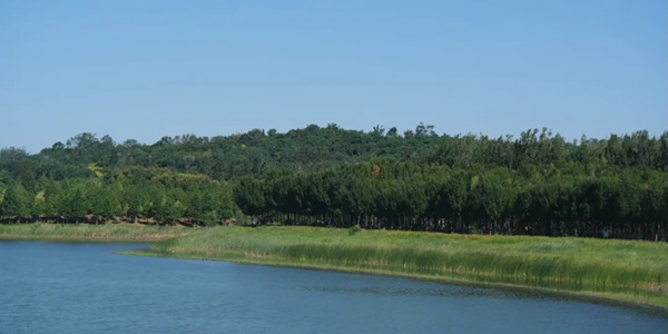 济南市济阳区澄波湖风景区
