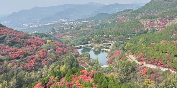 济南市历城区红叶谷风景区