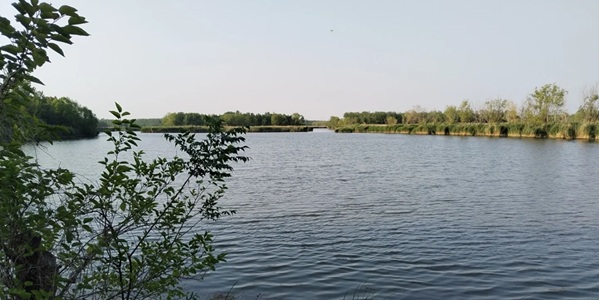 济宁市鱼台县微山湖湿地