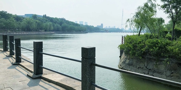 聊城市高唐县鱼丘湖