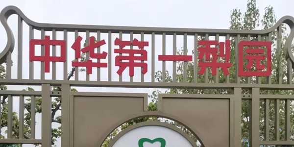 聊城市冠县中华第一梨园