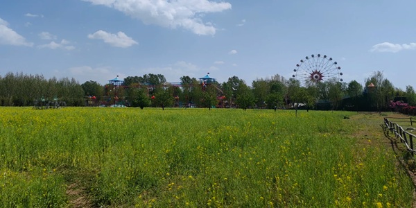 临沂市兰陵县兰陵国家农业公园