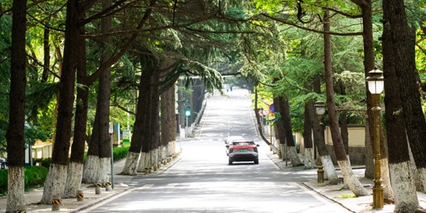 青岛市市南区八大关