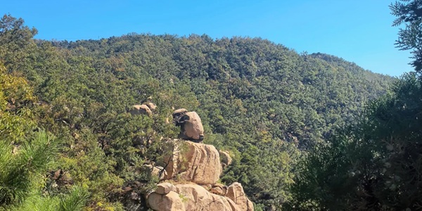 新泰市莲花山风景区