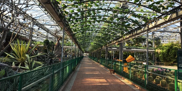 潍坊市寿光市蔬菜高科技示范园