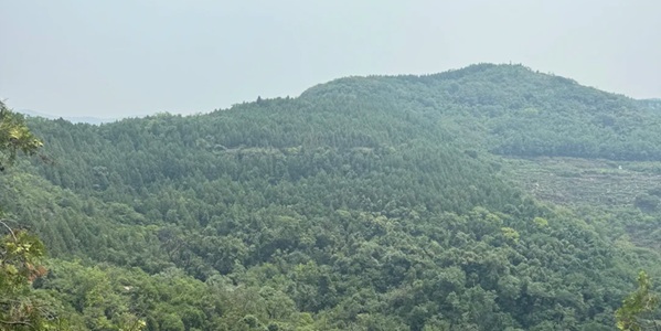 枣庄市山亭区抱犊崮国家森林公园