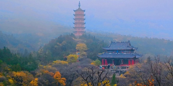 枣庄市峄城区冠世榴园