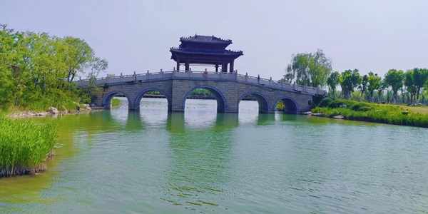 淄博市桓台县马踏湖湿地公园