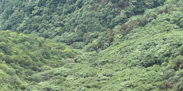 长治市长子县发鸠山