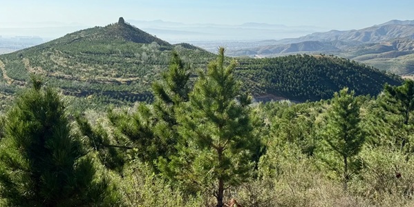 大同市阳高县守口堡长城