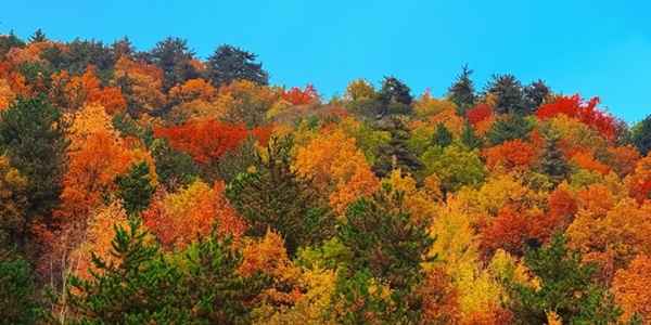 太原市古交市狐爷山