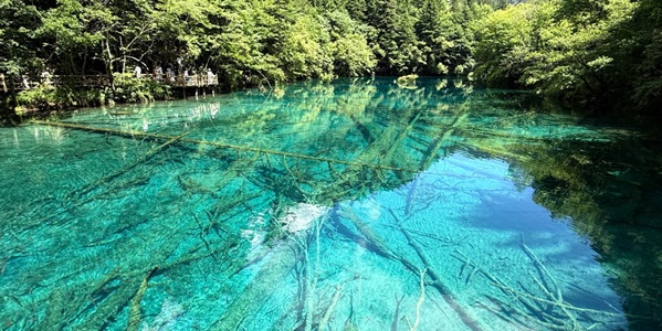 阿坝九寨沟县五花海