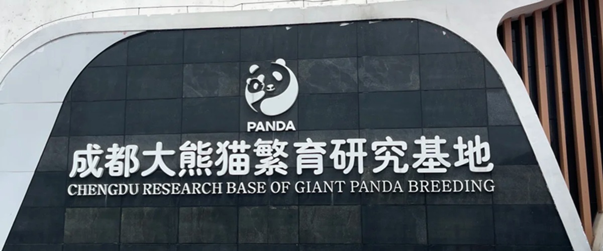 成都旅游全景封面