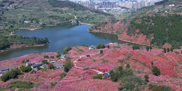 成都龙泉驿区桃花故里