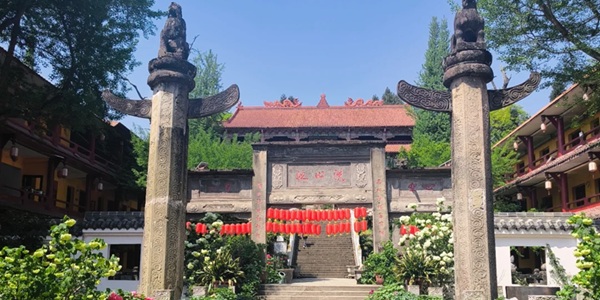 彭州丹景山牡丹花海