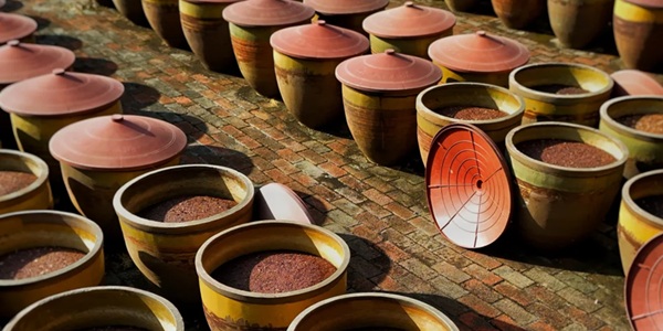 成都郫都区郫县豆瓣晒场