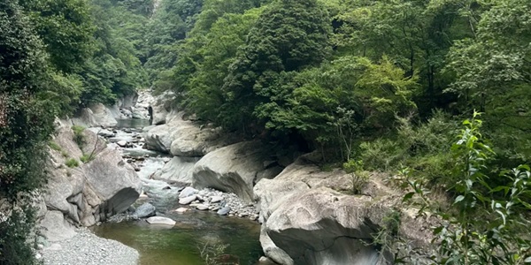 青川县唐家河自然保护区自然风光