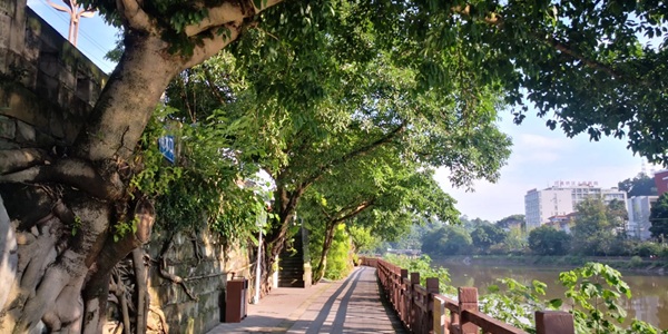 乐山五通桥区小西湖