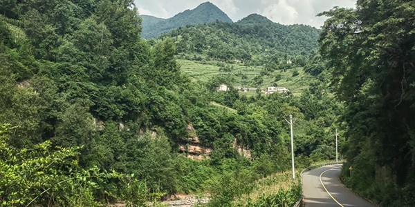 美姑县大风顶自然保护区景观