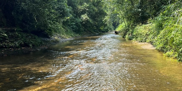 威远县石板河景观