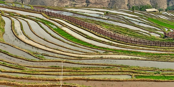 米易县自然人文景观