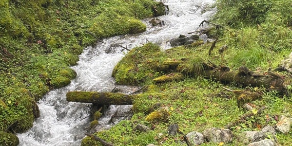 雅安天全县喇叭河风光