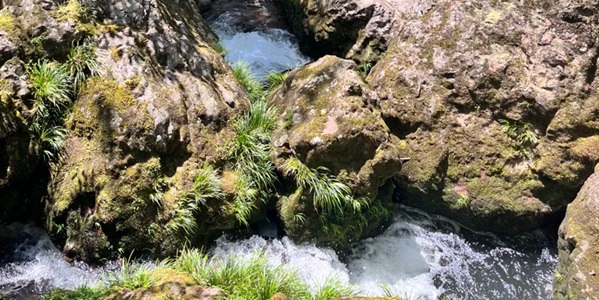 雅安荥经县龙苍沟