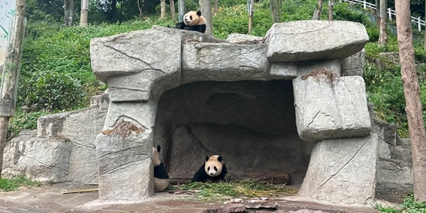雅安雨城区碧峰峡