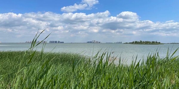 天津市静海区团泊湖风景区风光