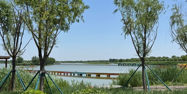 天津市宁河区七里海湿地公园风光