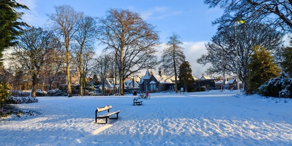 Duthie Park & Winter Gardens Panorama
