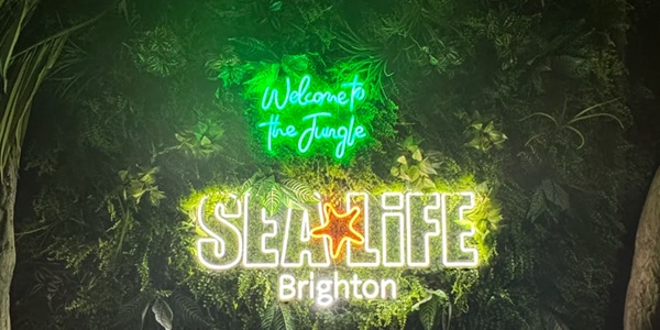 SEA LIFE Brighton Victorian underwater tunnel and shark tank